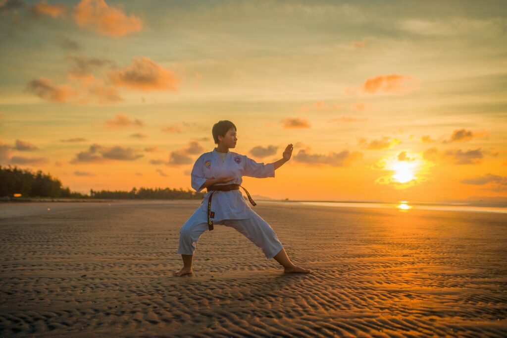 Traditional Martial Arts Classes, and Why They No Longer Exist